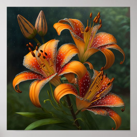 Oranje Tijger Lelies Bloemenkunst Print Poster (Voorkant)