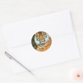 Oranje tijger Stickers (Envelop)