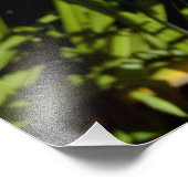 Oranje tijgergelingen foto afdruk (Hoek)