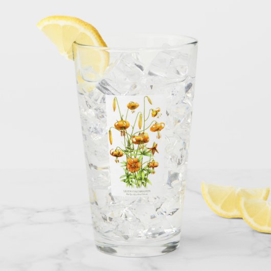 Oranje tijgergelingen glas (Voorkant ijs)