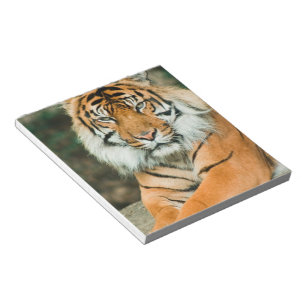 Oranje tijgerlaptop notitieblok