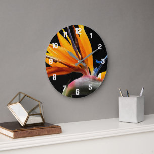 Oranje Tropische Bird of Paradise Plant Bloem Grote Klok