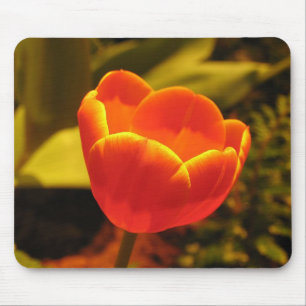 Oranje Tulip Muismat