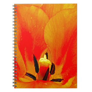 Oranje Tulip Notitieboek