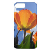 Oranje Tulp, blauwe hemel Case-Mate iPhone Case (Achterkant)