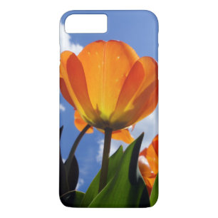 Oranje Tulp, blauwe hemel iPhone 8 Plus / 7 Plus Hoesje