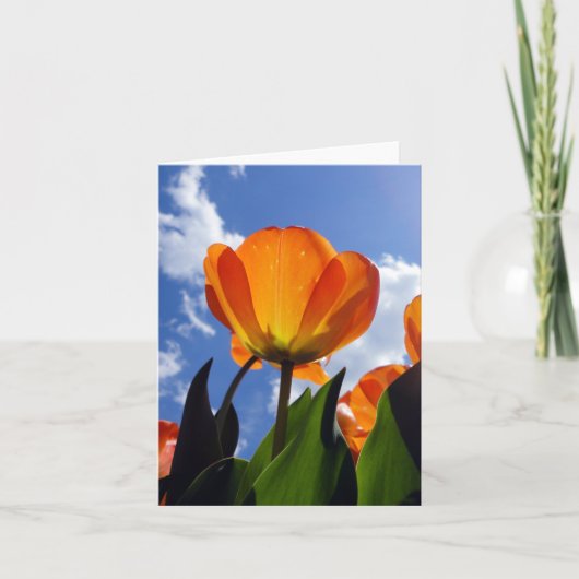 Oranje Tulp, blauwe hemel Notitiekaartje (Voorkant)