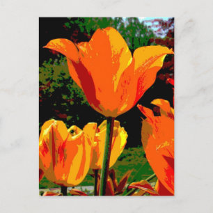 Oranje tulp briefkaart