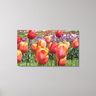 Oranje tulpen bij Elizabeth Park met platte doek Canvas Afdruk
