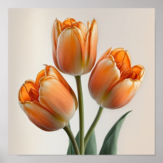 Oranje Tulpen Bloemenkunst Print Poster (Voorkant)