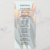 Oranje Tulpen Programma (Achterkant)