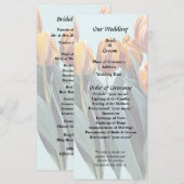 Oranje Tulpen Programma (Voorkant / Achterkant)