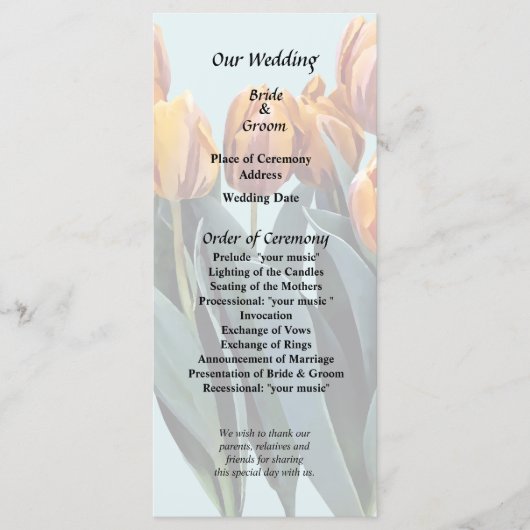 Oranje Tulpen Programma (Voorkant)