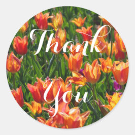 Oranje Tulpen Ronde Sticker
