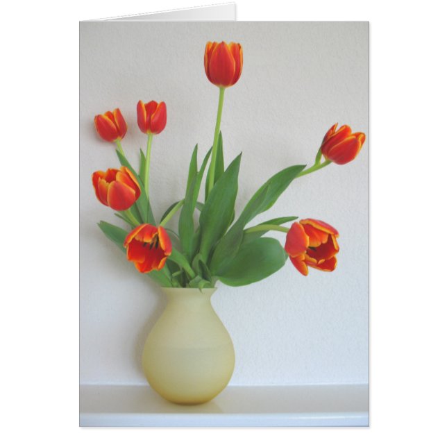Oranje Tulpen van Cynthia Wenslow (Voorkant)