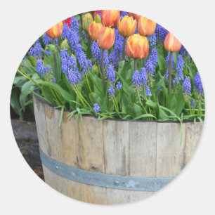Oranje tulpenplankafdruk ronde sticker