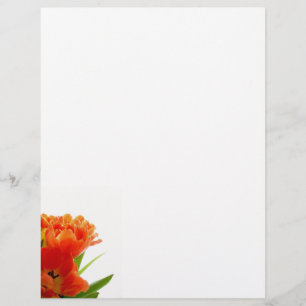 Oranje Tulps Letterhead