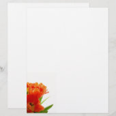 Oranje Tulps Letterhead (Voorkant / Achterkant)