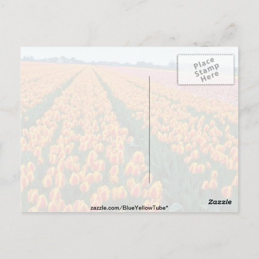 Oranje Tulpvelden, Hollandbloemen Briefkaart (Achterkant)