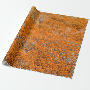 Oranje uitzicht. Oranje bladachtergrond. herfst Cadeaupapier