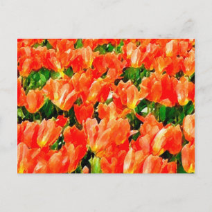 Oranje veld van tulpen briefkaart