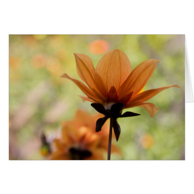 Oranje ventilator (Voorkant Horizontaal)