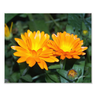 Oranje ventilator #2204 foto afdruk