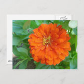 Oranje ventilator briefkaart (Voorkant / Achterkant)