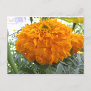 Oranje ventilator briefkaart