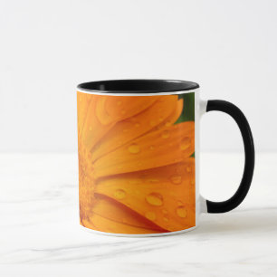 Oranje ventilator mok