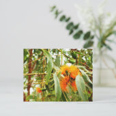 Oranje ventilatorBriefkaart Briefkaart (Staand voorkant)