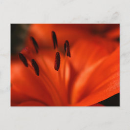 Oranje ventilatorBriefkaart Briefkaart
