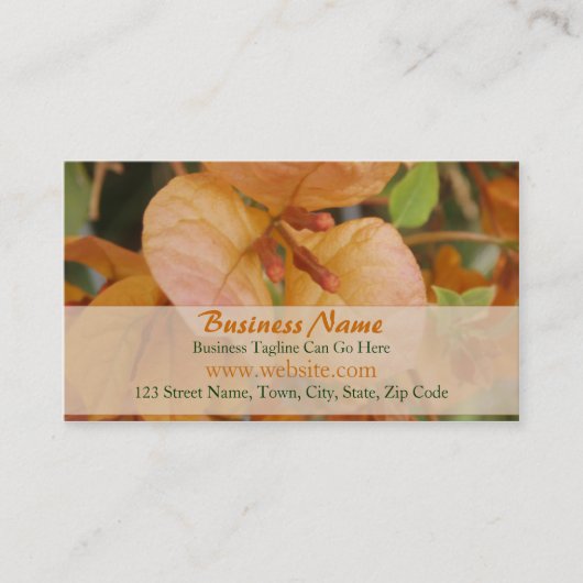 Oranje Visitekaartje Bougainvillea (Voorkant)