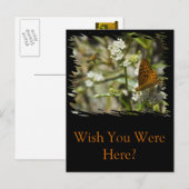 Oranje vlinder en bijen briefkaart (Voorkant / Achterkant)