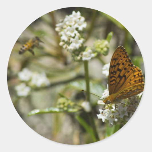 Oranje vlinder en bijen ronde sticker (Voorkant)