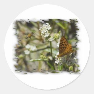 Oranje vlinder en bijen ronde sticker