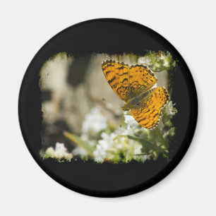 Oranje vlinder magneet