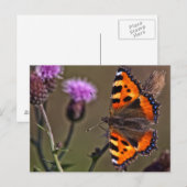 Oranje vlinder op paars briefkaart met dunnedbloem (Voorkant / Achterkant)
