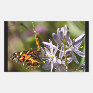 Oranje vlinder op Wilde Hyacinth Apparel & Gifts Rechthoekige Sticker