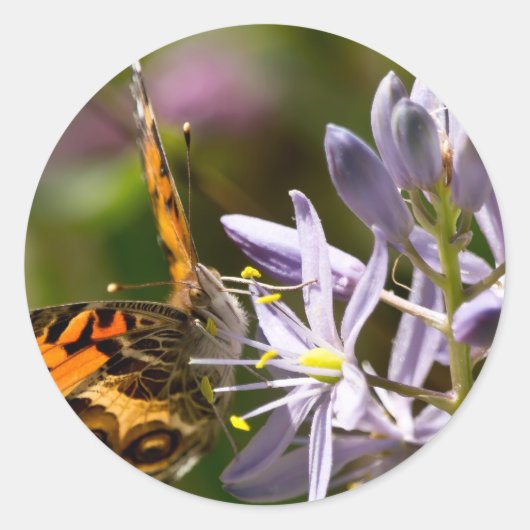 Oranje vlinder op Wilde Hyacinth Apparel & Gifts Ronde Sticker (Voorkant)