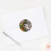 Oranje vlinder op Wilde Hyacinth Apparel & Gifts Ronde Sticker (Envelop)
