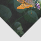  Oranje vlinderbloemfoto Tissuepapier (Detail)