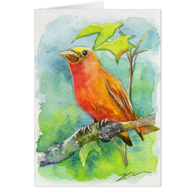Oranje vogel (Voorkant)