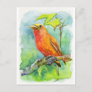 Oranje vogel briefkaart