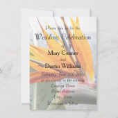 Oranje vogel van het paradijs kaart (Voorkant)