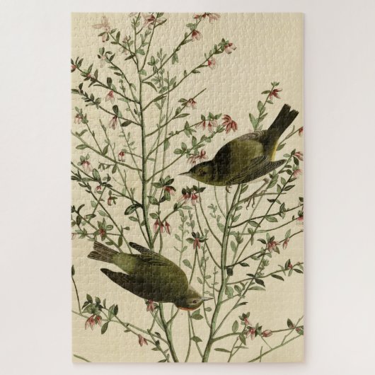 Oranje-volle Warbler, Amerikaanse vogels van Audub Legpuzzel (Verticaal)