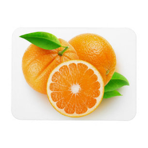 Oranje vruchten magneet