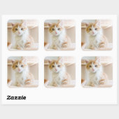 Oranje & White Kitten Vierkante Sticker (Vel)