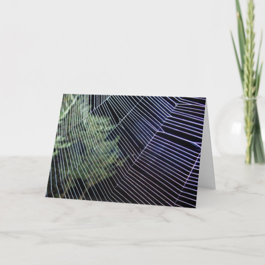 Oranje Wielwevend Spinneweb Kaart (Voorkant)