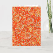 Oranje zachtbloemen kaart (Voorkant)